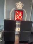 Bang Olufsen beovox s80-2