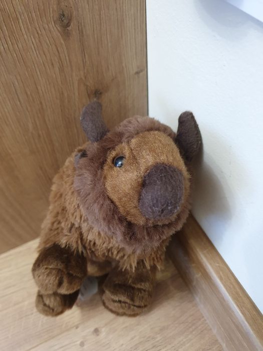 Maskotka dla dzieci żubr