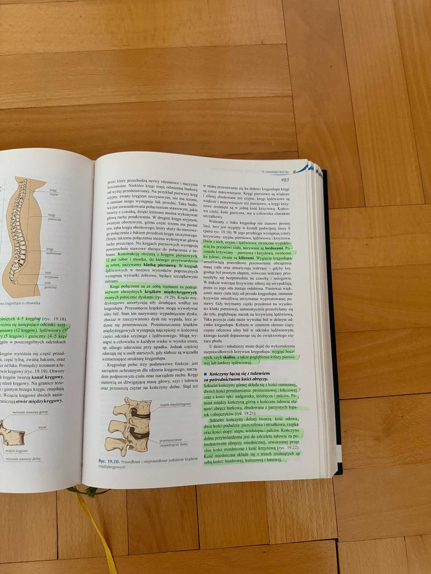 Biologia Jedność i różnorodność PWN