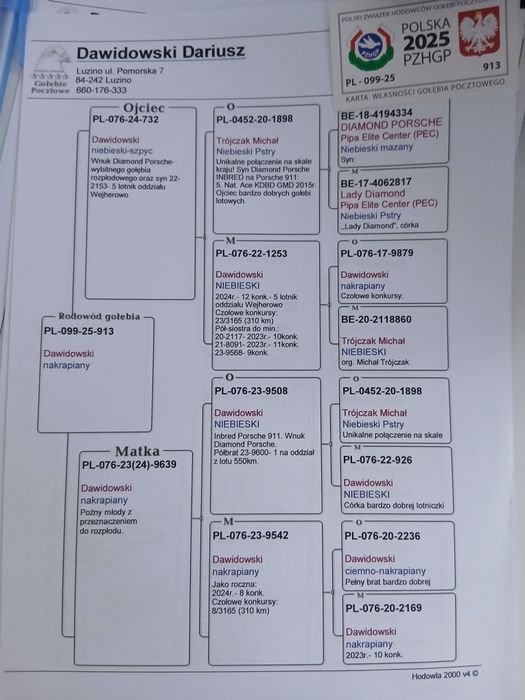Gołąb pocztowy likwidacja