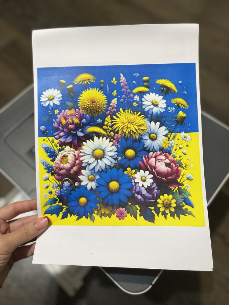 HP Color Laser 150nw