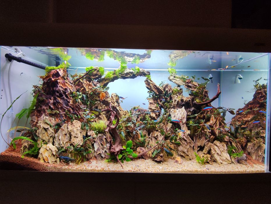 Akwarium cały zestaw 200l optiwhite