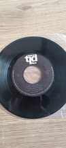 Fernando Tordo Disco Vinil Single sem capa