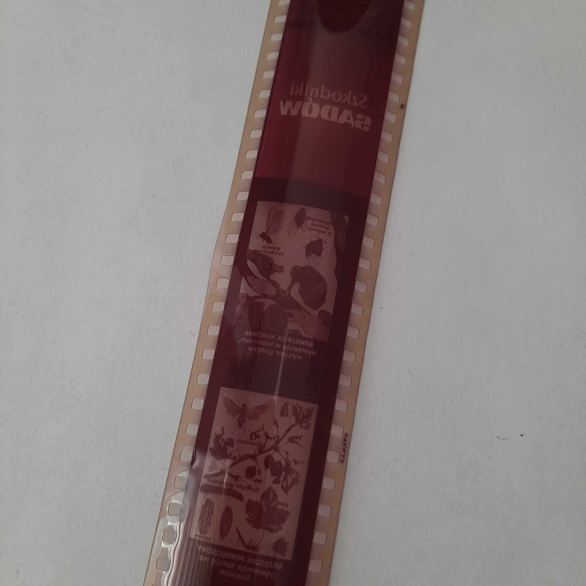 Filmy na rzutnik Ania Rośliny,  szkodniki  szt.6