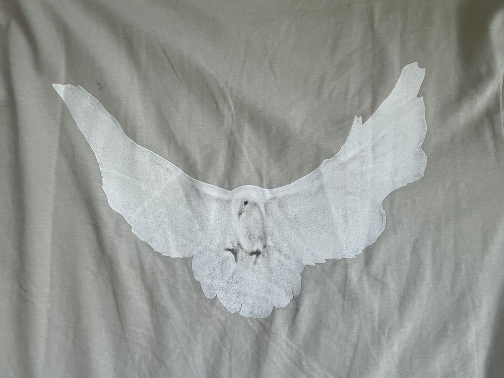T shirt yzy gap white dove