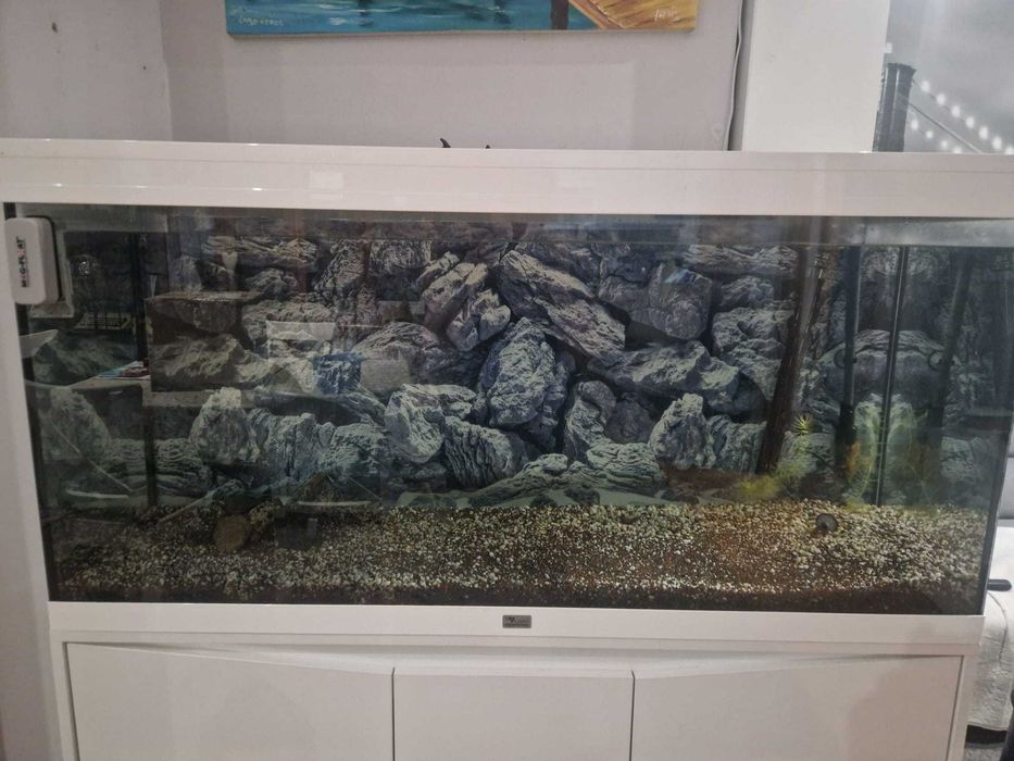 Aquário Aquatlantis 120 cm completo com Kit de CO2