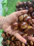 Vende-se castanhas