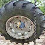 Felga DW 14x30 Massey Ferguson