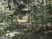 Działka we wsi Oczko 3264m2 KW 43x76m za Lgotą-Mok