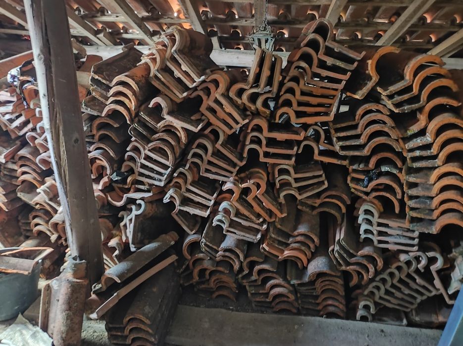 Vendo telhas baratas ou nada.