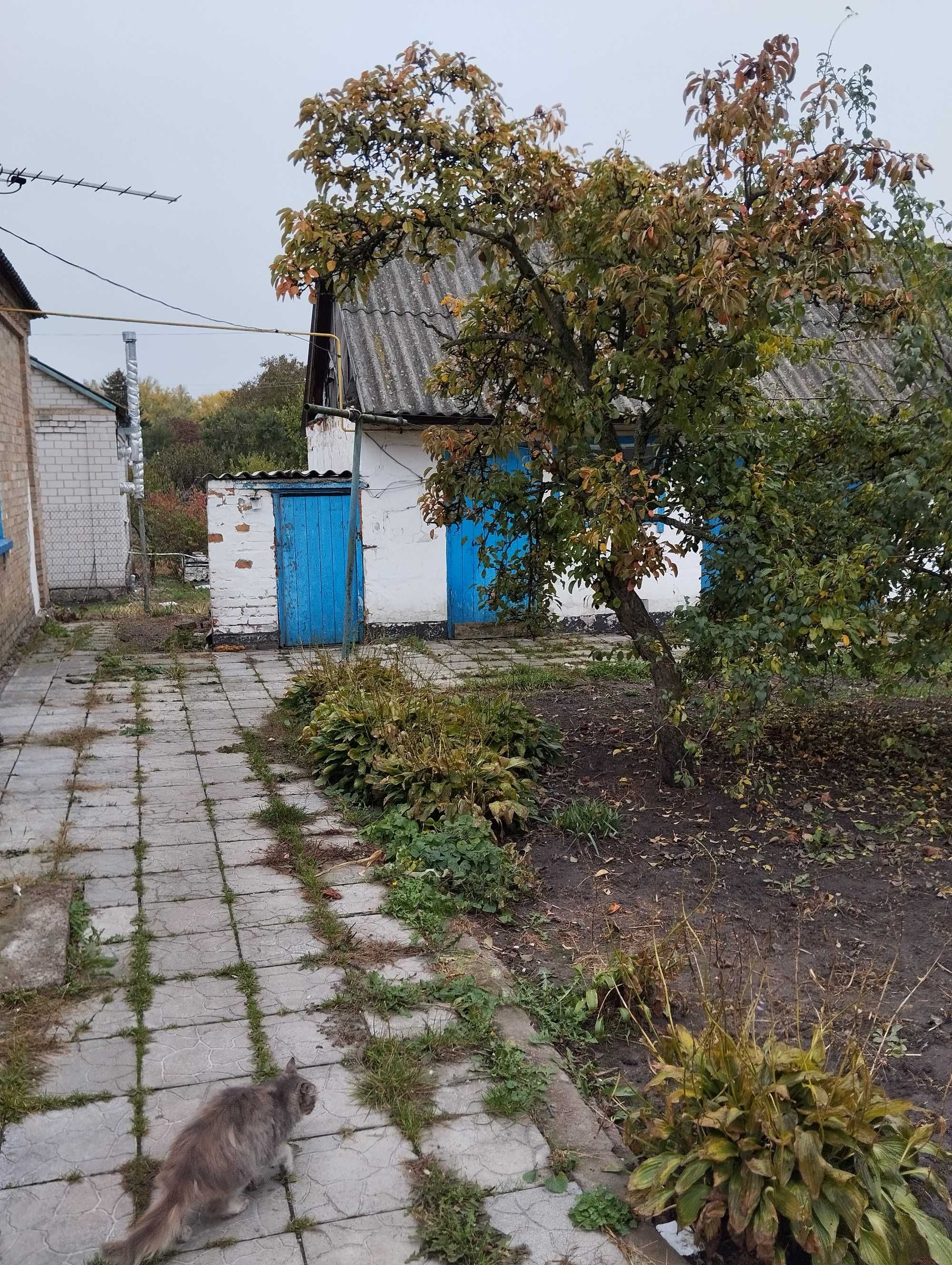 Продам будинок Баришівка, 60 км від Києва.