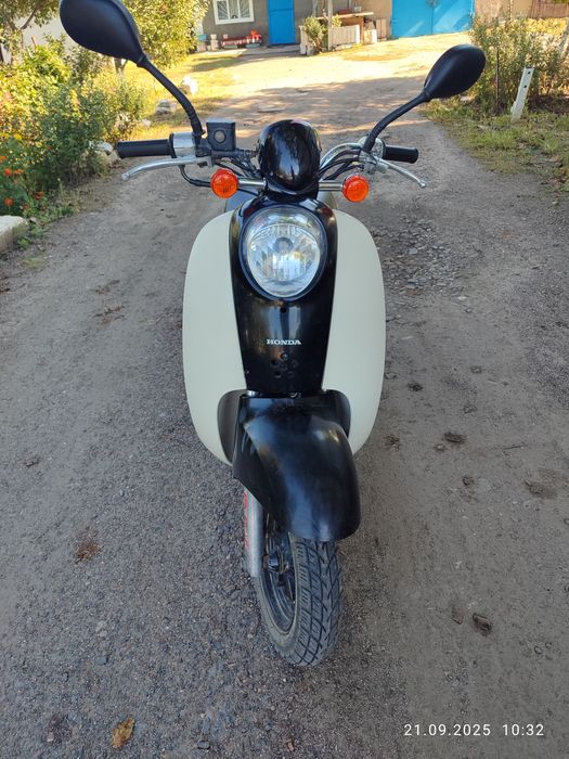 Honda scoopy af55