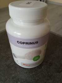 Grzyby COPRINUS suplement