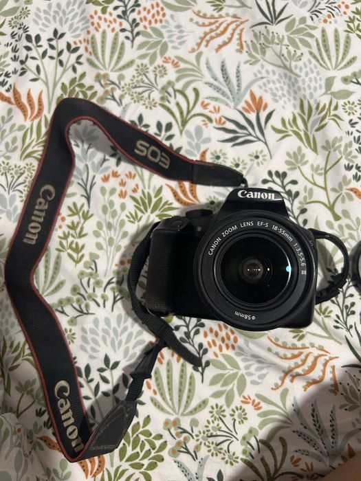 Canon EOS Rebel T6 Lente 18-55mm Lente Macro 100mm f/2.8