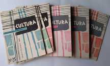 14 revistas da série #cultura". Ver descrição
