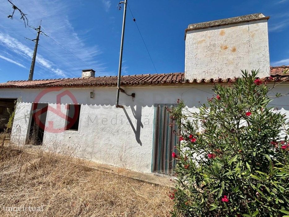 Quinta com moradia isolada e olival, no Couço, Coruche