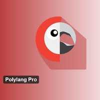 Плагин Polylang Pro / Polylang for WooCommerce