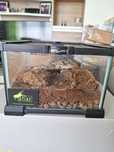 Sprzedam terrarium