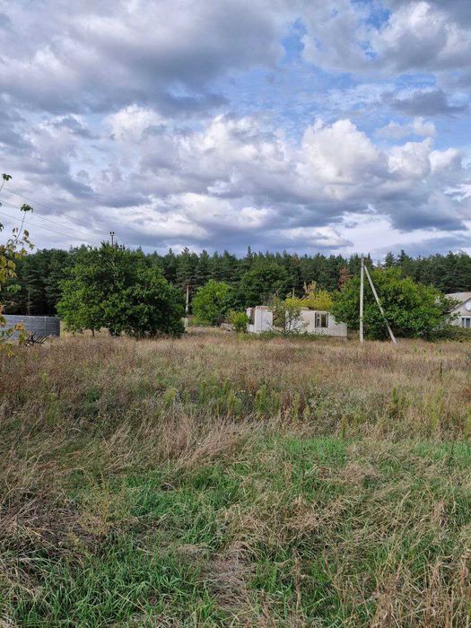 Продаж ділянки біля Кременчука, траса + сосновий ліс