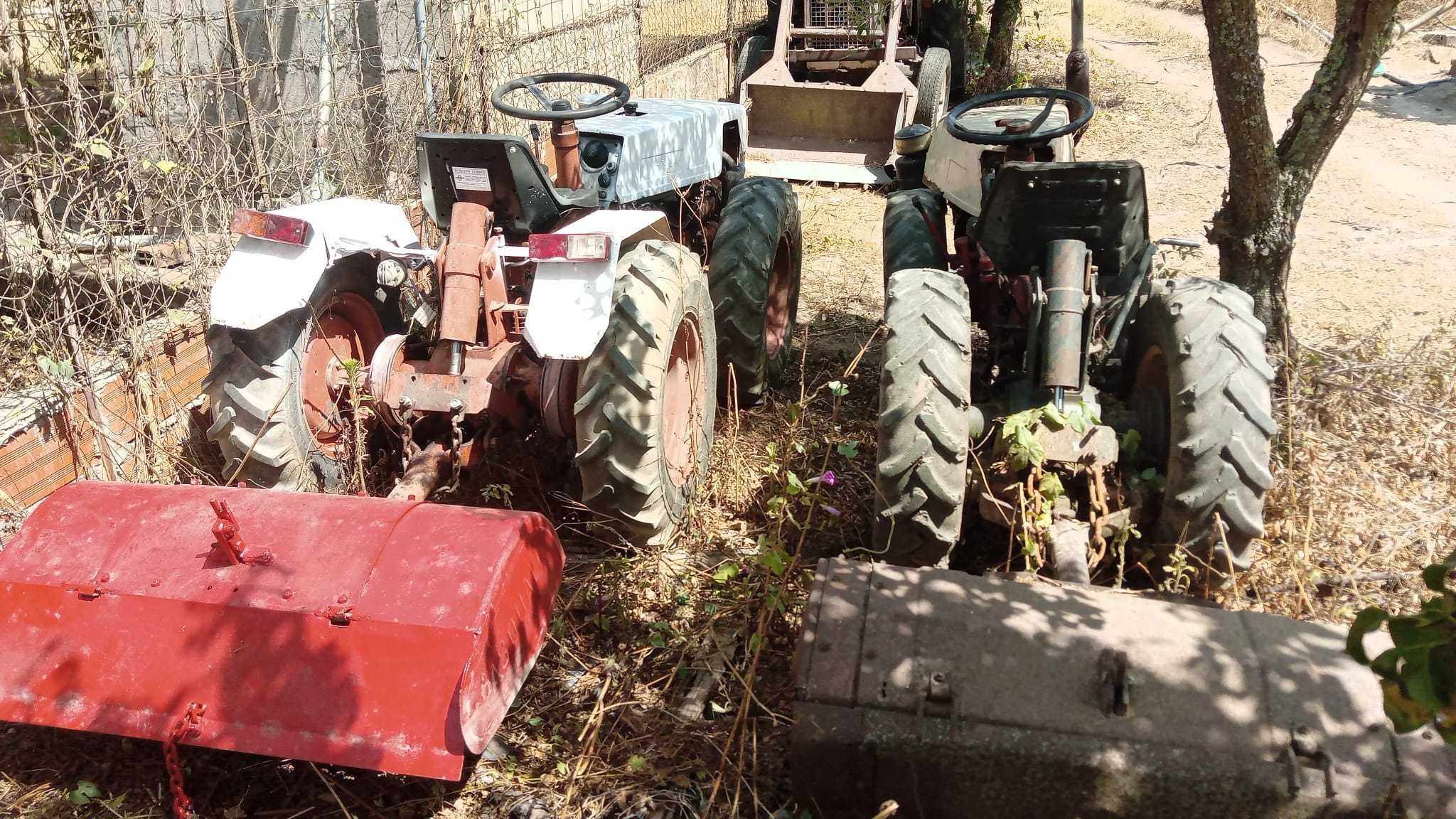 Trator articulado tração ás 4 pasqual 21Cv