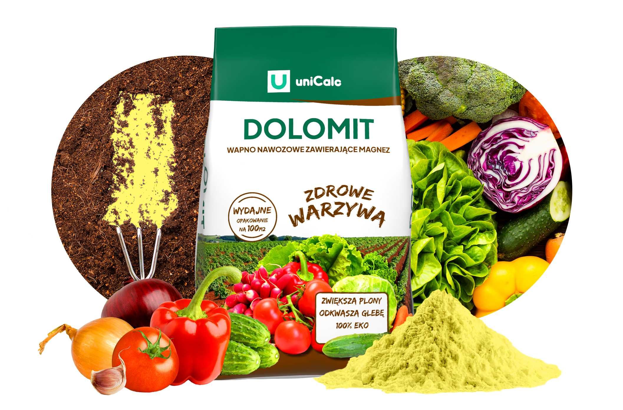 Wapno Dolomitowe Nawóz do Warzyw Roślin Dolomit 25 KG możliwa wysyłka