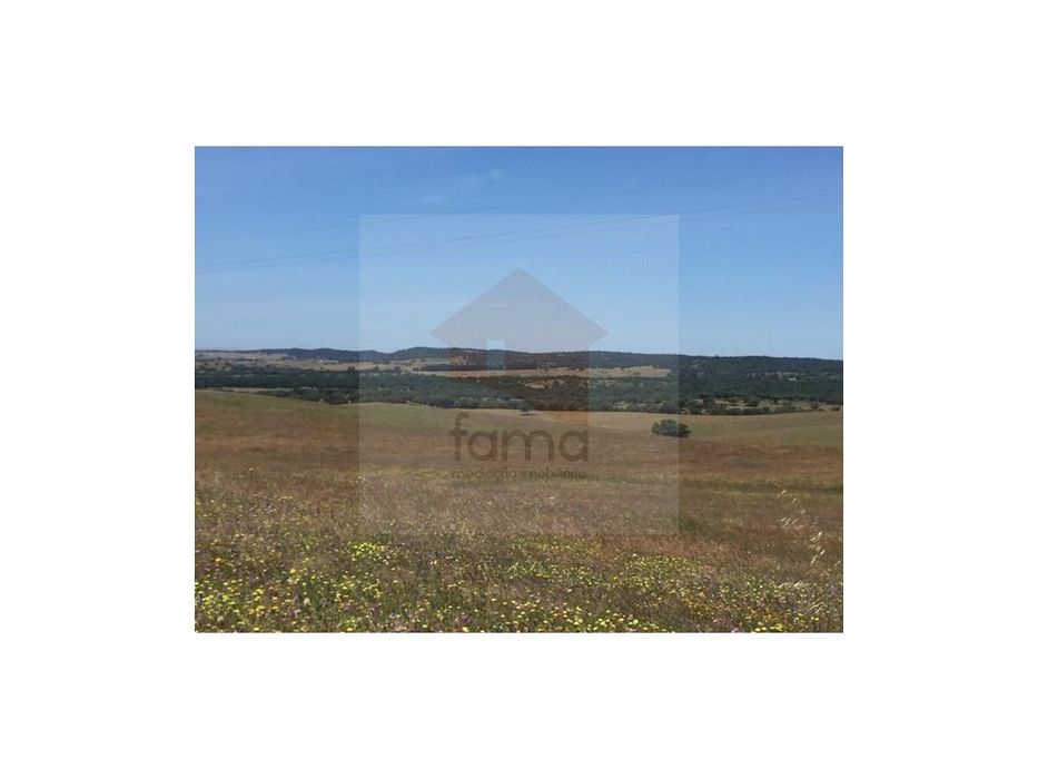 Terreno Com Habitação