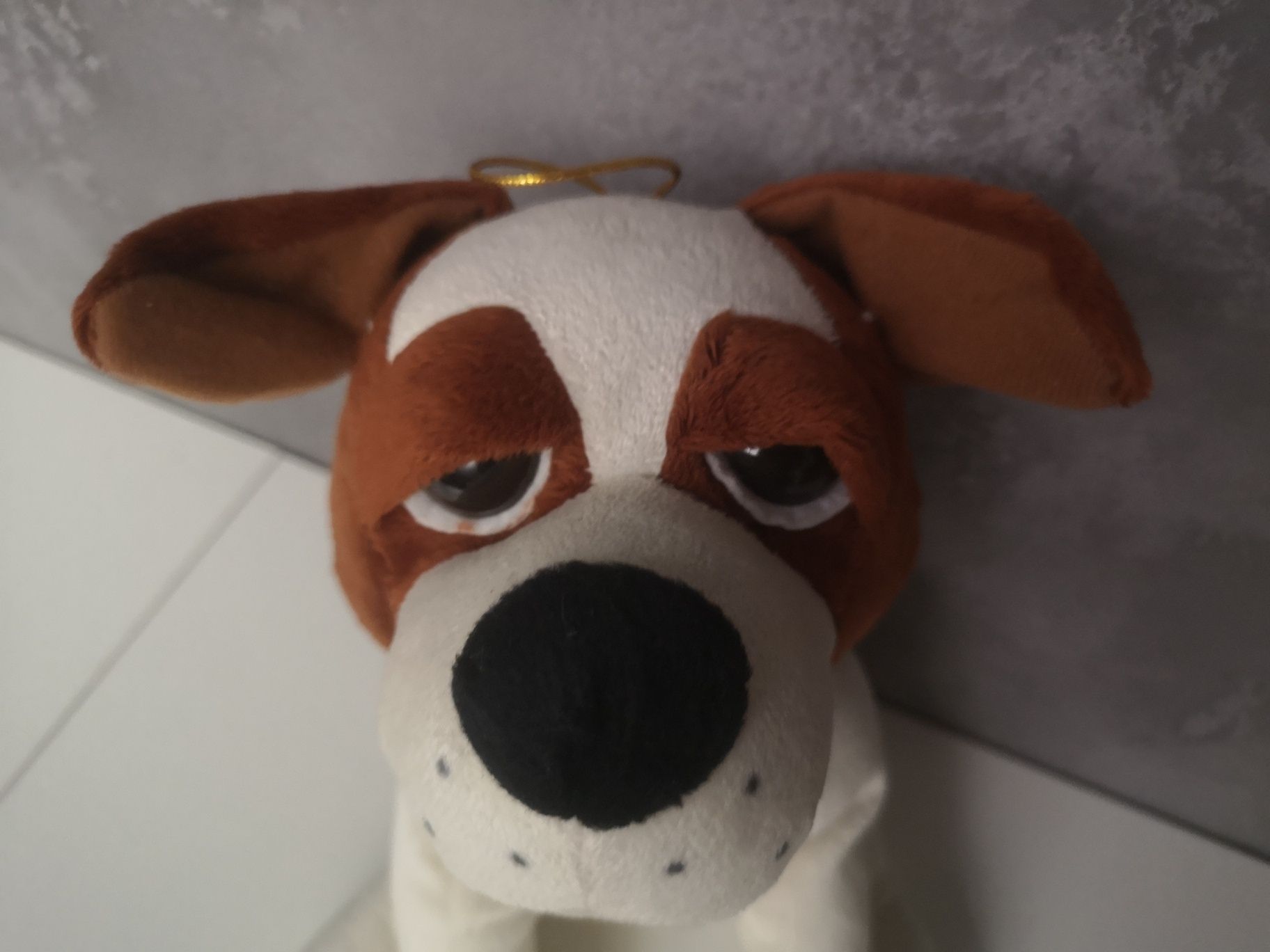 Мягкая игрушка собака глазастик 22 см