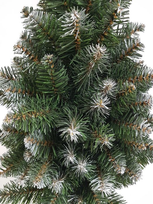 Choinka na pniu, jodła śnieżona 100 cm