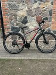 Rower MTB Raleight Daymax 29”