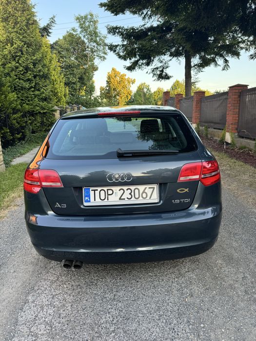 audi a3 8p 1.9 TDI lift