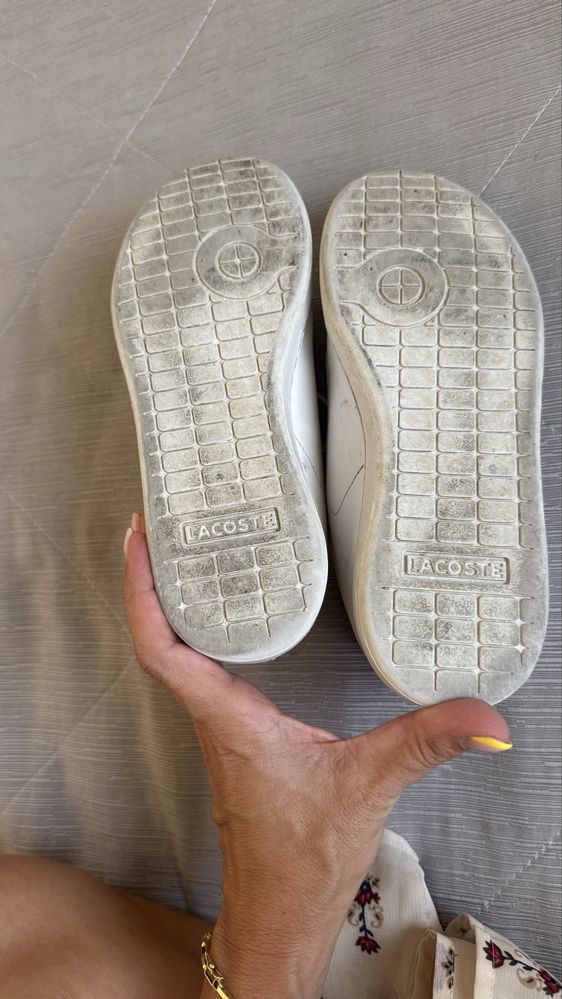 Sapatilha lacoste criança venda
