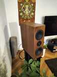 Sveda Audio Blipo Home (Fornir Orzech) OKAZJA!!!