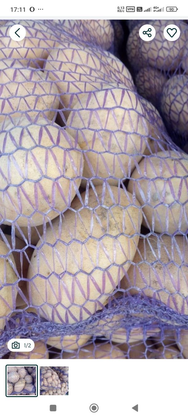 Продам картоплю домашню
