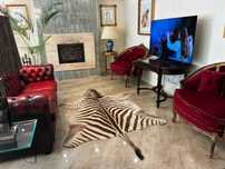 PELE DE ZEBRA - Corpo Inteiro - Equus quagga - 290 cm - 170 cm - 1 cm