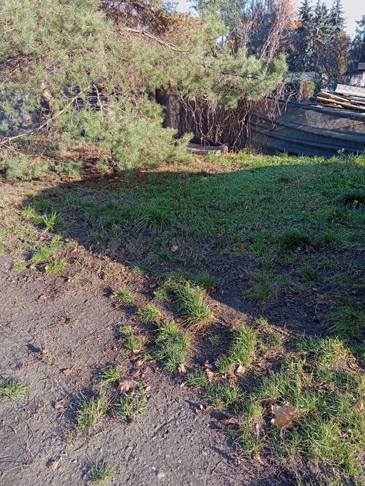 Grabienie liści- Pruszków i okolice.