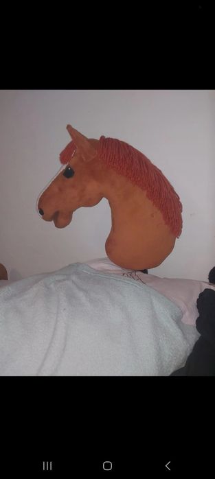 Rudy hobby horse
