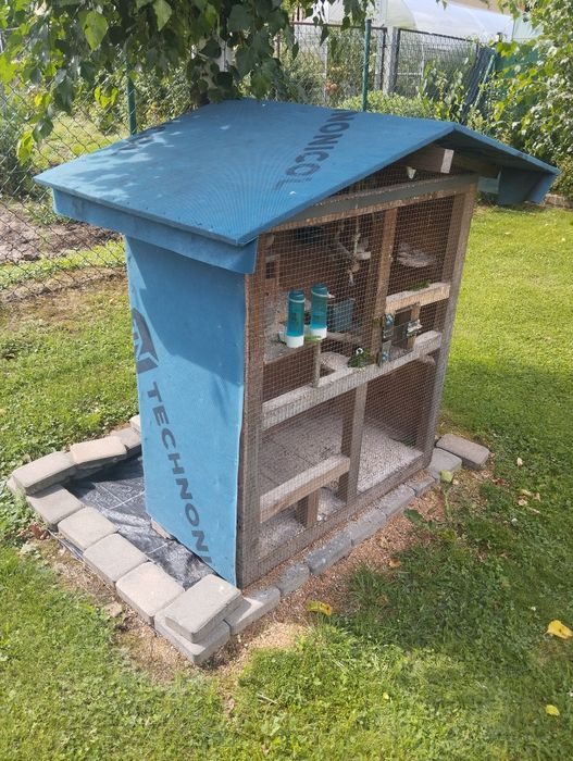 Klatka + ptaki Zeberki