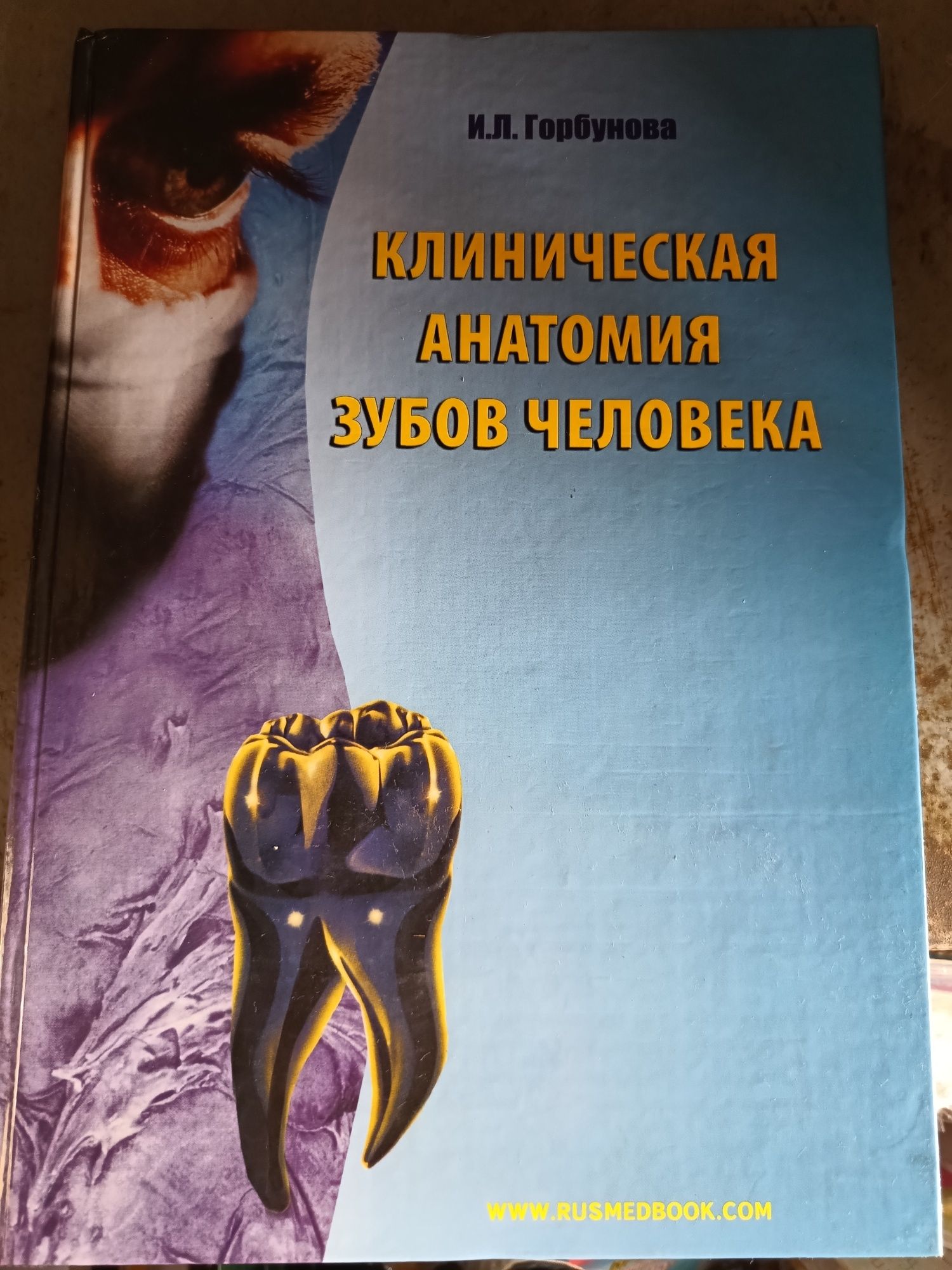 Клиническая анатомия зубов человека, И.Л.Горбунова, Медкнига - 2006