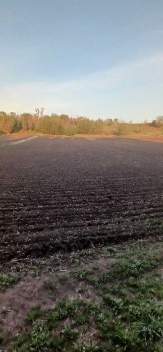 Велика Ділянка ЗЕЛЕНЬКИ ідеально під господарство або ферму, ТЕРМІНОВО