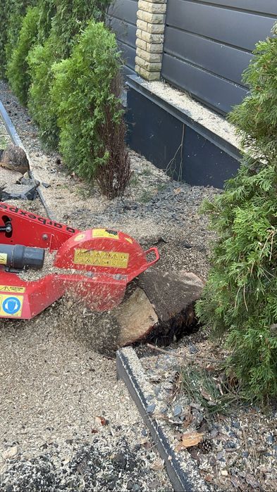 Зріз аварійних дерев! Кронування дерев|Видалення дерев|Корчування пнів