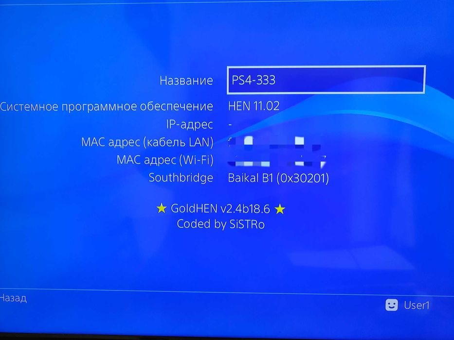 PS4 Slim Playstation 4 Slim 11.02 HEN GoldHen безкоштовні ігри