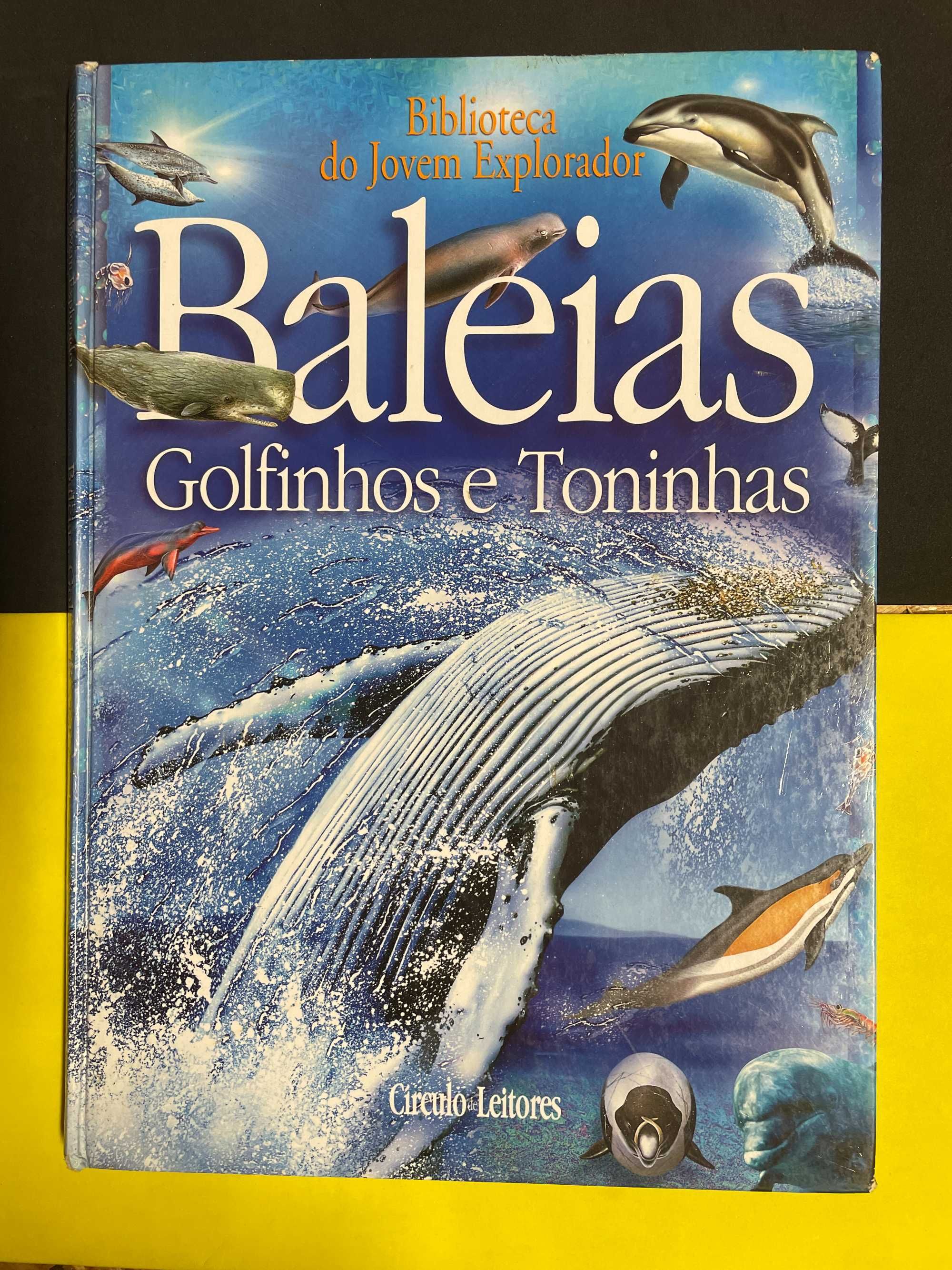 Baleias Golfinhos e Toninhas