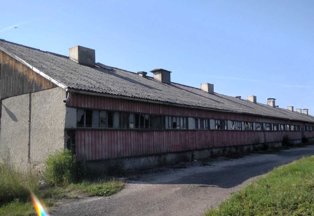 Odbiór i utylizacja eternitu, demontaż azbestu, pakowanie, rozbiórka