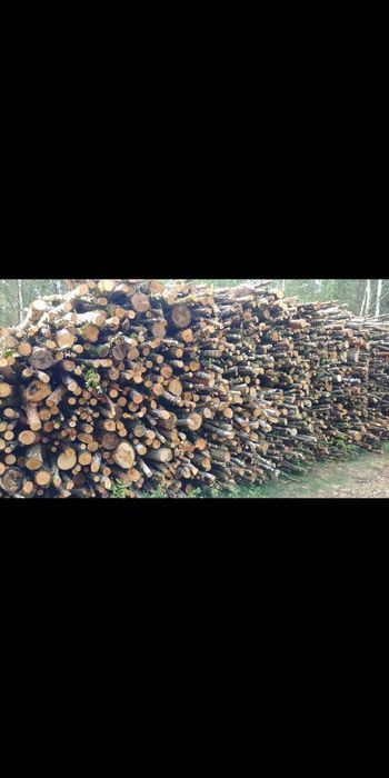 DREWNO OPAŁOWE na sprzedaż