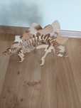 Model dinozaura Stegosaurus do składania 3D