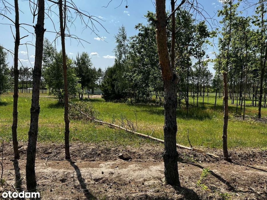 W okolicach Jońca –  Okazja! Pozwolenie + Prąd 900m od Wkry