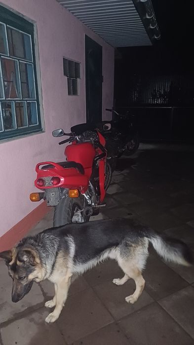 Продам хонда нср 125