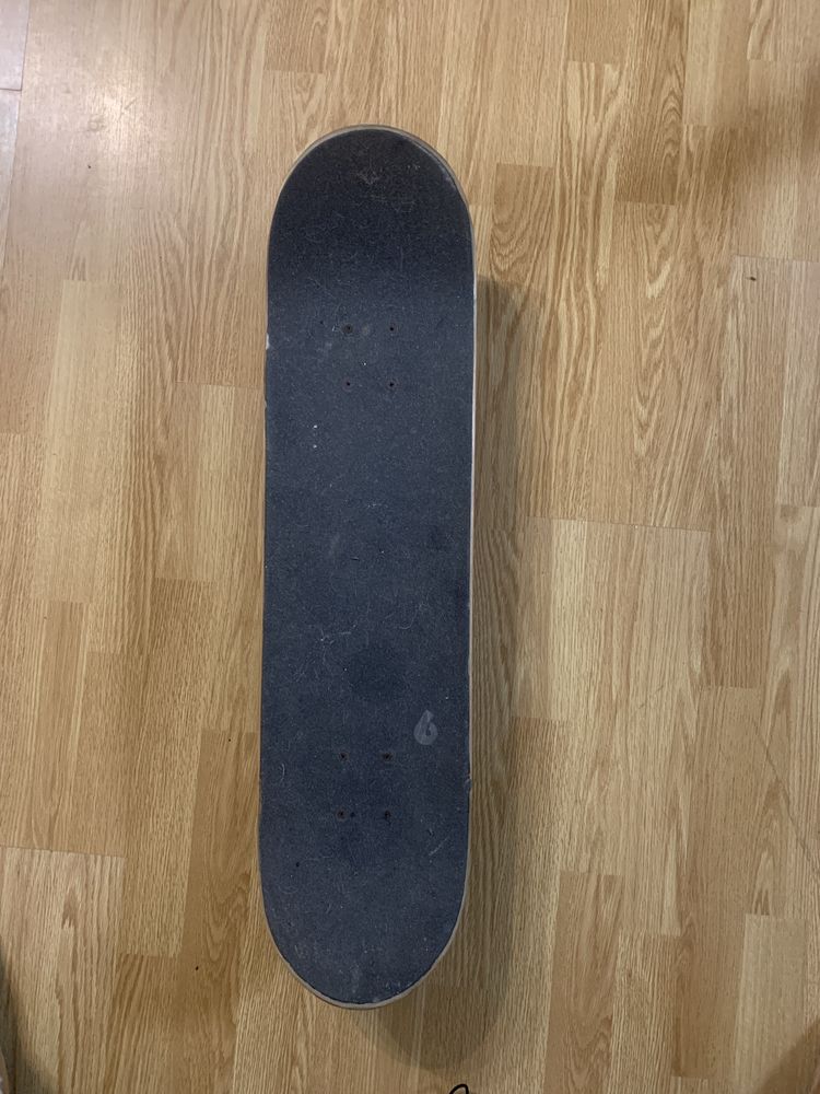 Skate Birdhouse Tony Hawk