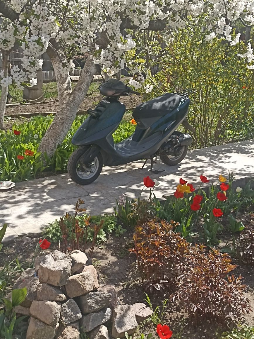 Honda tact af 30
