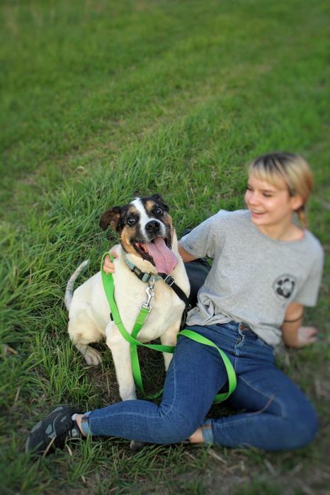 Rodzinny, wesoły i czuły – Adwent czeka na dom przed zimą